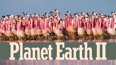 watch planet earth 2 online free|planet earth 2 full movie free.